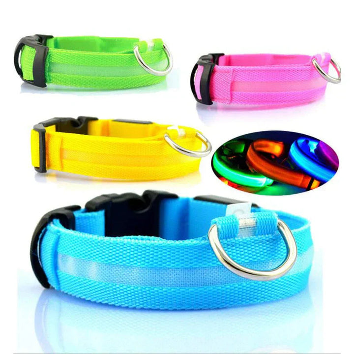Skanto | Skanto GlowPets LED-Halsband – Haustiersicherheit & Sichtbarkeit