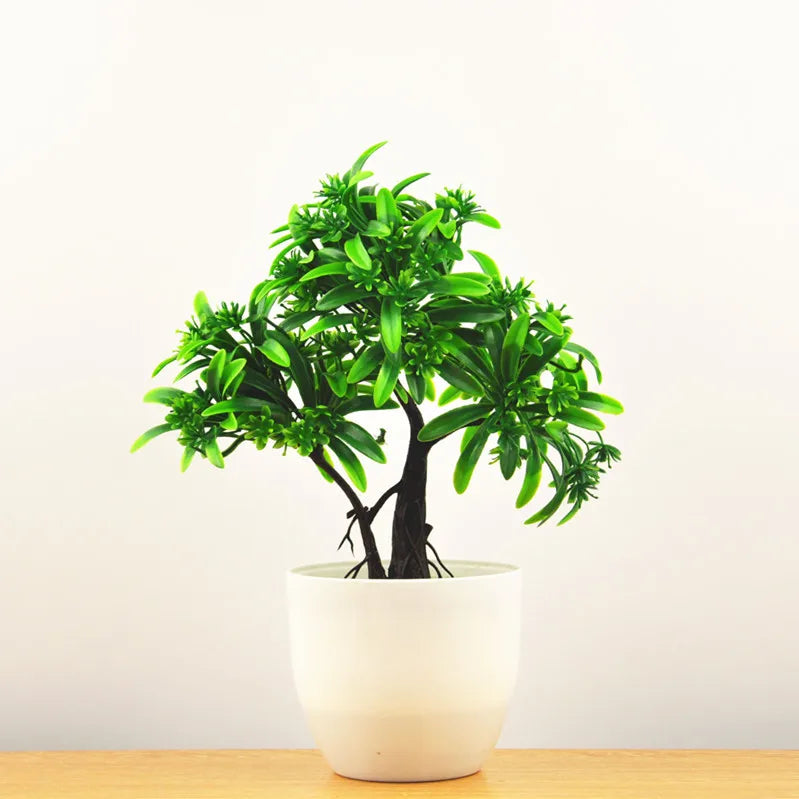 Skanto | Kleiner hölzerner Bonsai-Pflanztopf