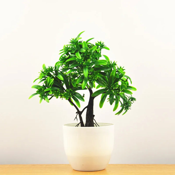 Skanto | Kleiner hölzerner Bonsai-Pflanztopf