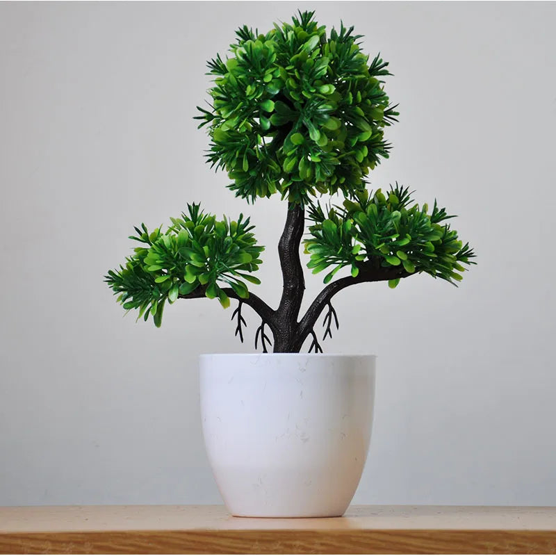 Skanto | Kleiner hölzerner Bonsai-Pflanztopf