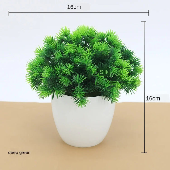 Skanto | Kleiner hölzerner Bonsai-Pflanztopf