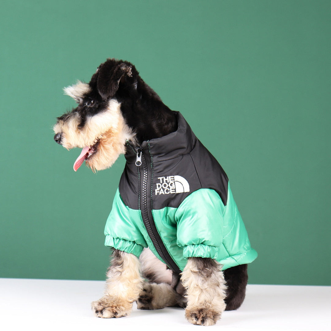 Hunde-Winterjacke | Gefüttert und Winddicht