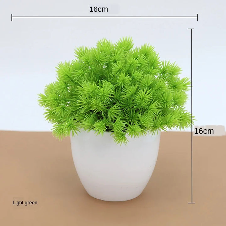 Skanto | Kleiner hölzerner Bonsai-Pflanztopf