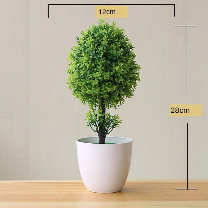Skanto | Kleiner hölzerner Bonsai-Pflanztopf