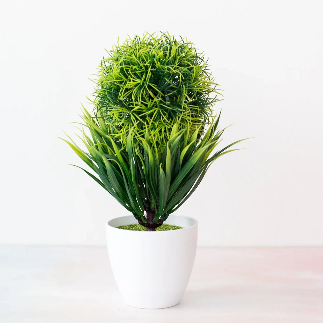Skanto | Kleiner hölzerner Bonsai-Pflanztopf