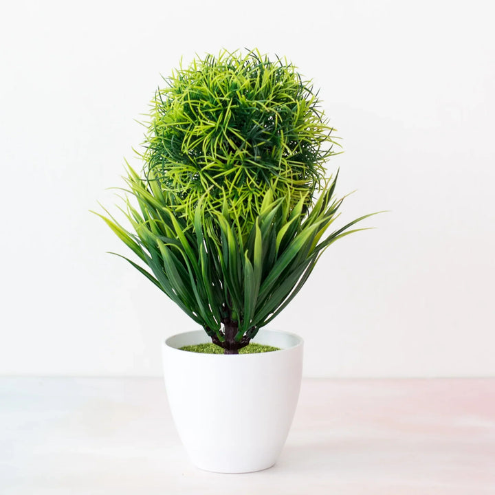 Skanto | Kleiner hölzerner Bonsai-Pflanztopf