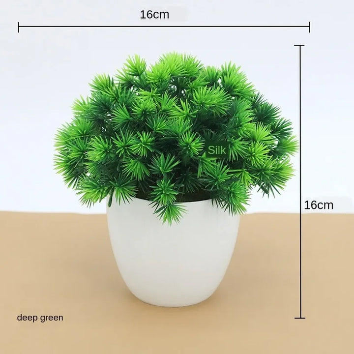 Skanto | Kleiner hölzerner Bonsai-Pflanztopf