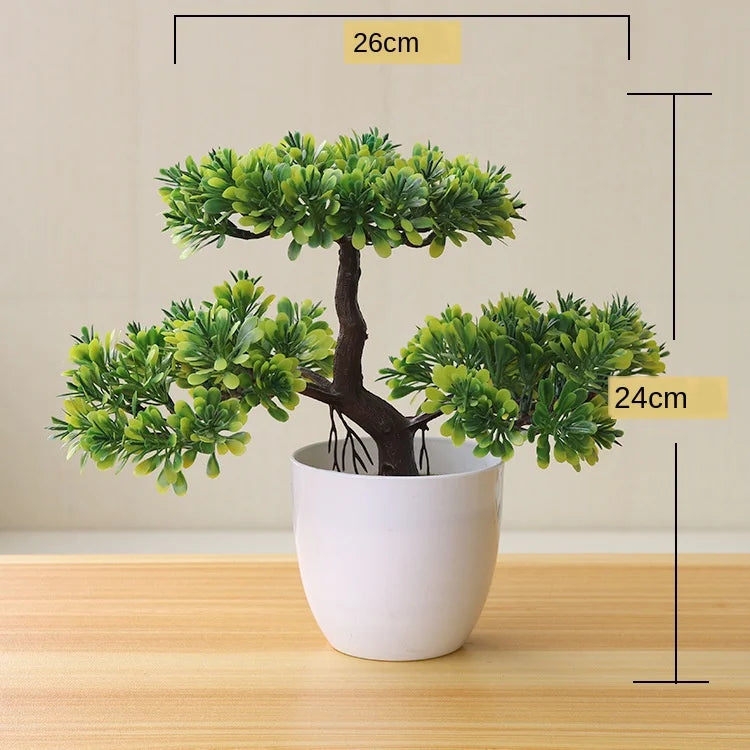 Skanto | Kleiner hölzerner Bonsai-Pflanztopf
