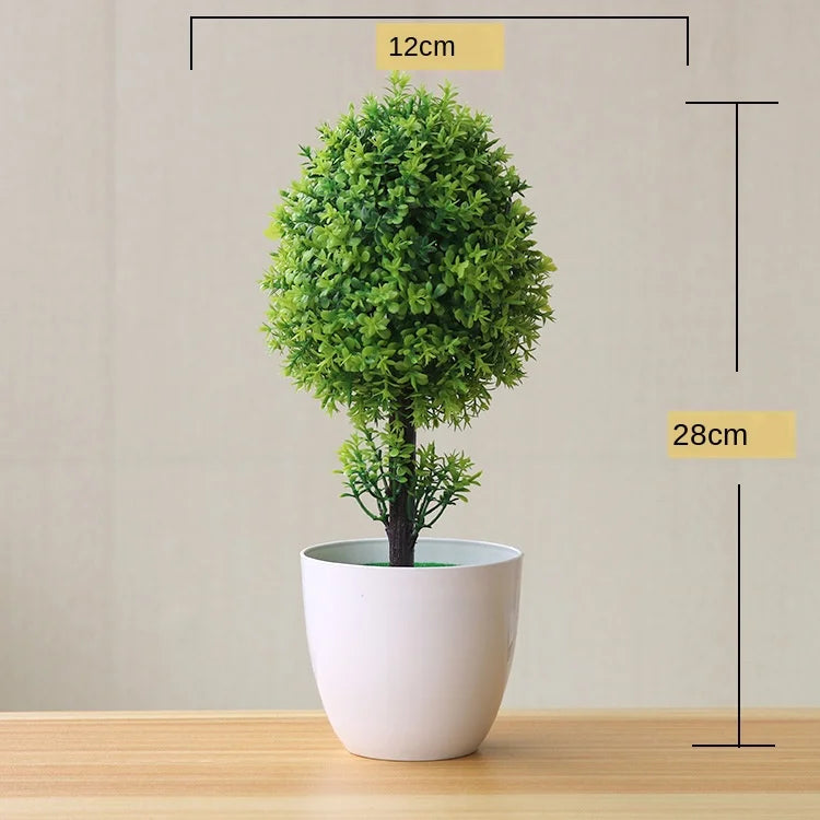 Skanto | Kleiner hölzerner Bonsai-Pflanztopf