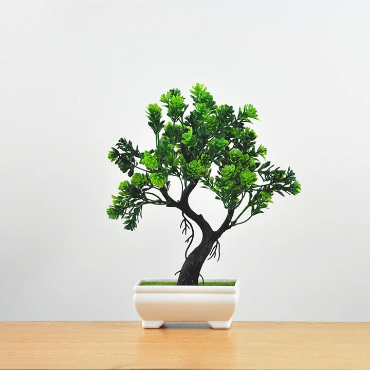 Skanto | Kleiner hölzerner Bonsai-Pflanztopf