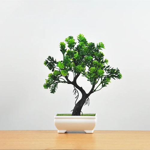 Skanto | Kleiner hölzerner Bonsai-Pflanztopf