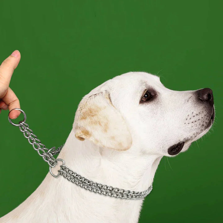Skanto | Hundetrainingshalsband aus Edelstahl