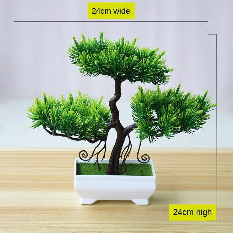 Skanto | Kleiner hölzerner Bonsai-Pflanztopf