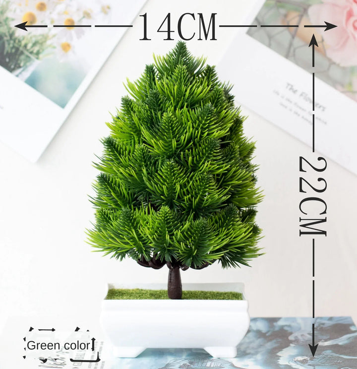 Skanto | Kleiner hölzerner Bonsai-Pflanztopf