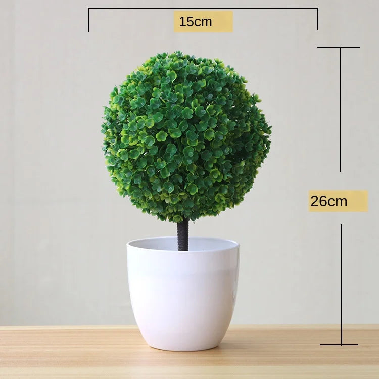 Skanto | Kleiner hölzerner Bonsai-Pflanztopf