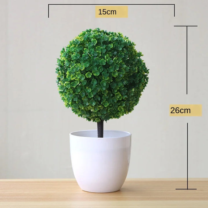 Skanto | Kleiner hölzerner Bonsai-Pflanztopf