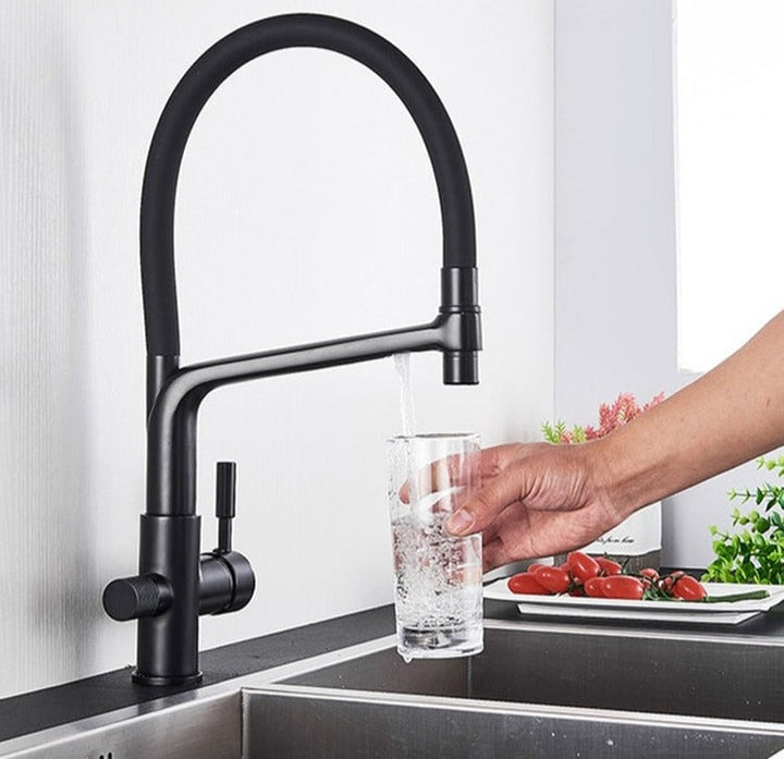 Skanto | Doppel-Auslauf Trinkwasserhahn Filter-Küchenarmaturen