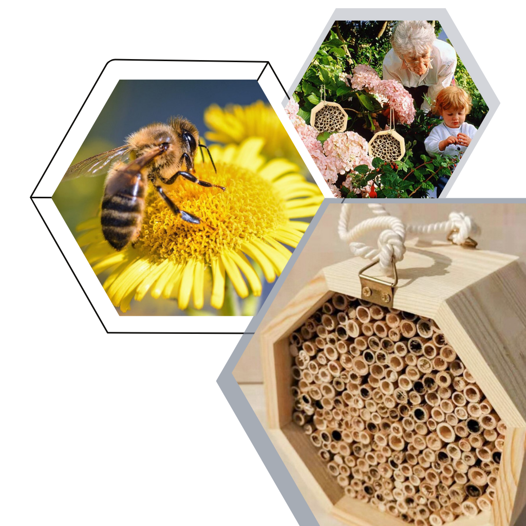 Sechseckiges Bienenhaus aus Holz