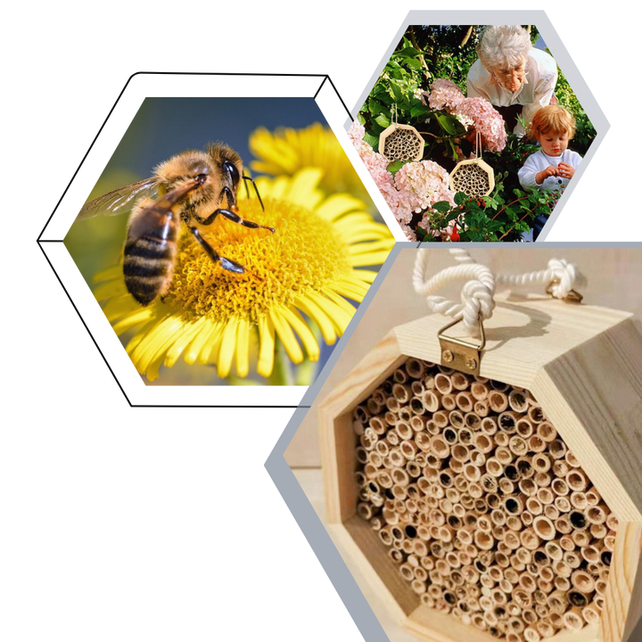 Sechseckiges Bienenhaus aus Holz