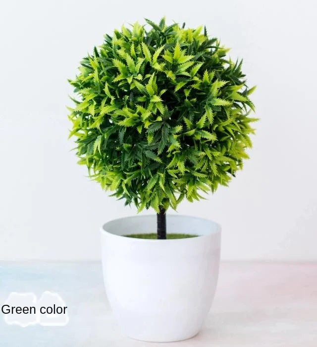 Skanto | Kleiner hölzerner Bonsai-Pflanztopf