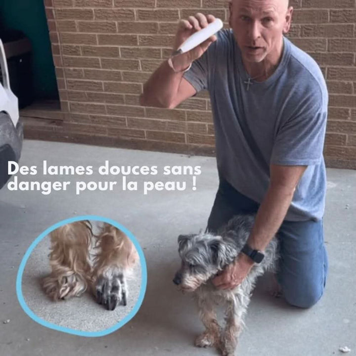 Skanto | Leiser Hundehaarschneider für saubere Pfoten und empfindliche Bereiche
