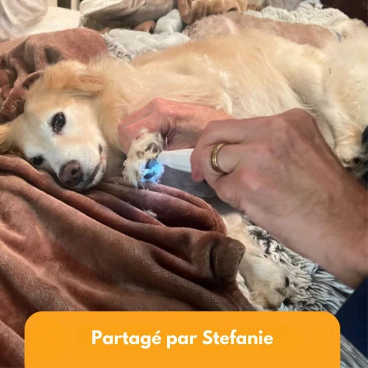Skanto | Leiser Hundehaarschneider für saubere Pfoten und empfindliche Bereiche