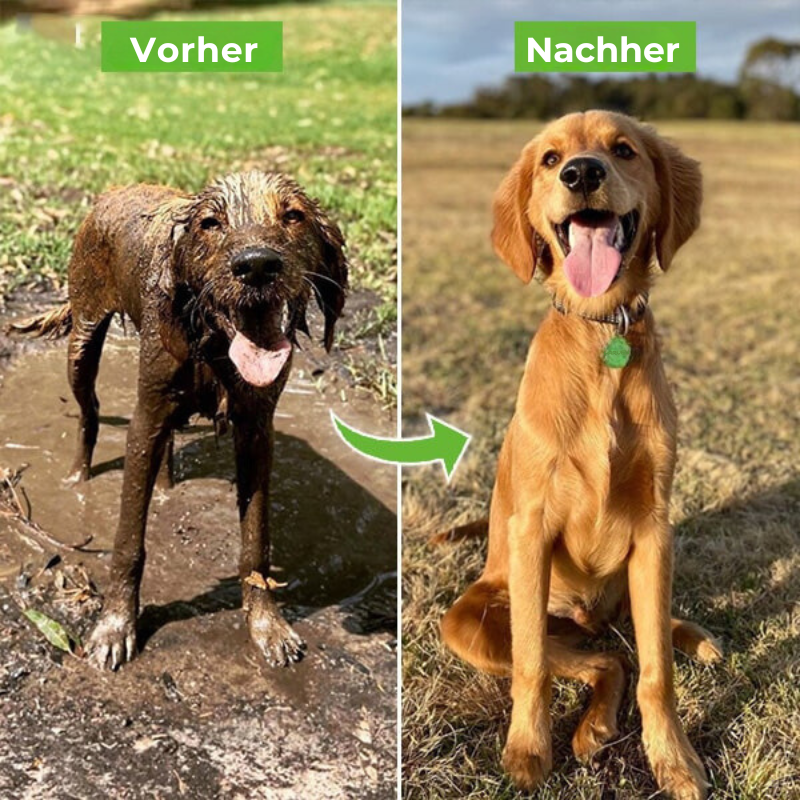 Skanto | Dusche: Hochdruck, verstellbar und schaumgefüttert für einfaches Hundebaden.