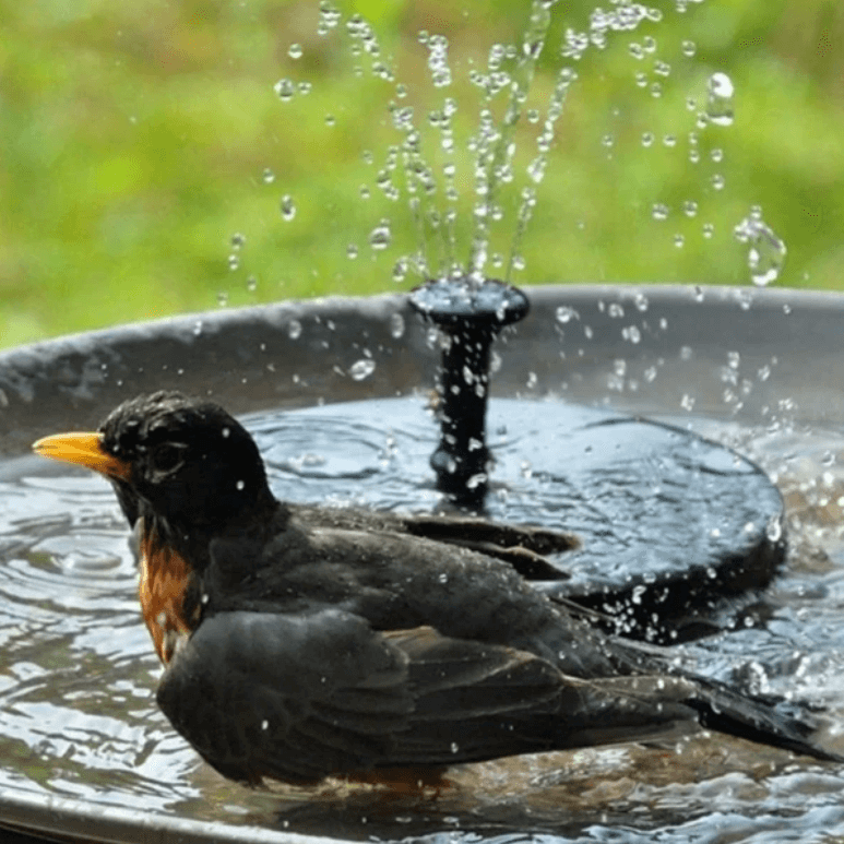 Skanto | Solarbrunnen