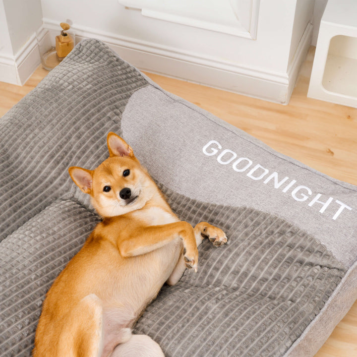 Skanto | Dickes kratzfestes Hundebett mit Rückenstütze