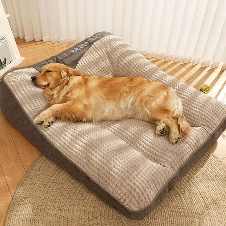 Skanto | Dickes kratzfestes Hundebett mit Rückenstütze