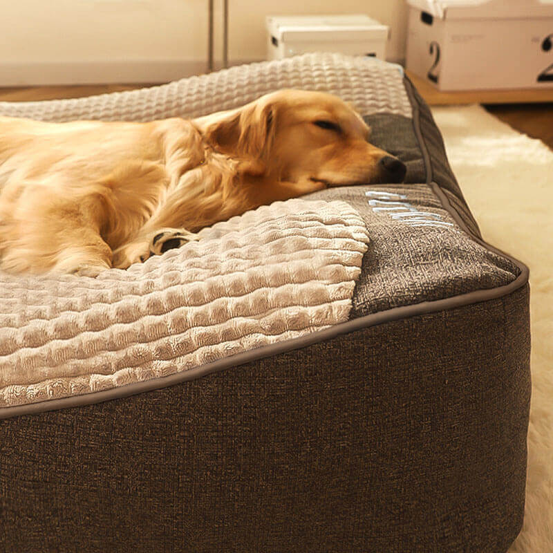 Skanto | Dickes kratzfestes Hundebett mit Rückenstütze