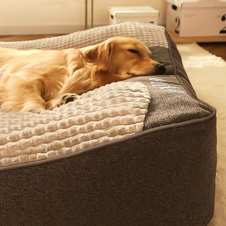 Skanto | Dickes kratzfestes Hundebett mit Rückenstütze
