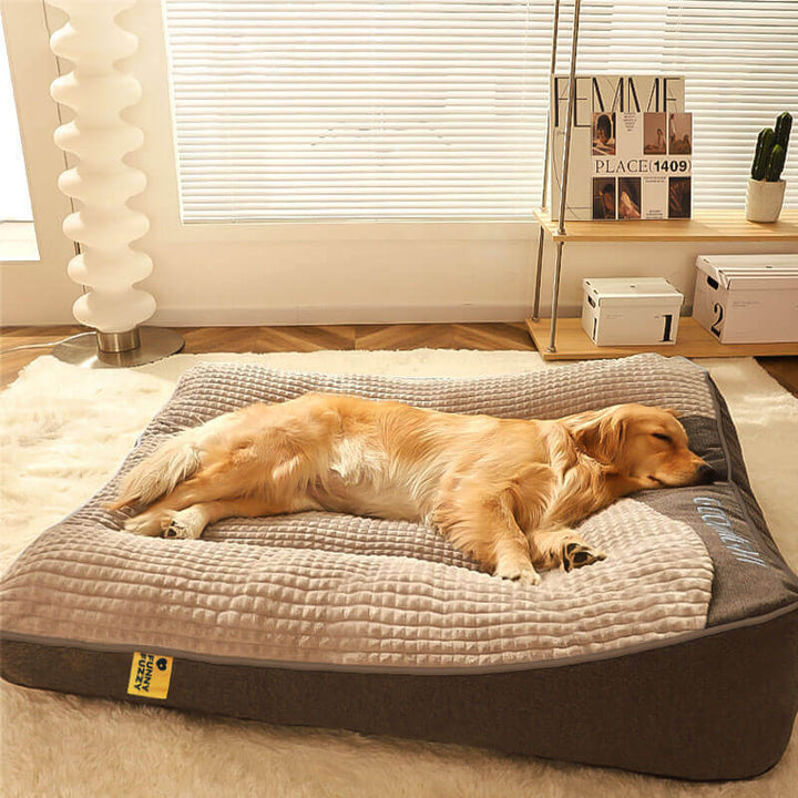 Skanto | Dickes kratzfestes Hundebett mit Rückenstütze