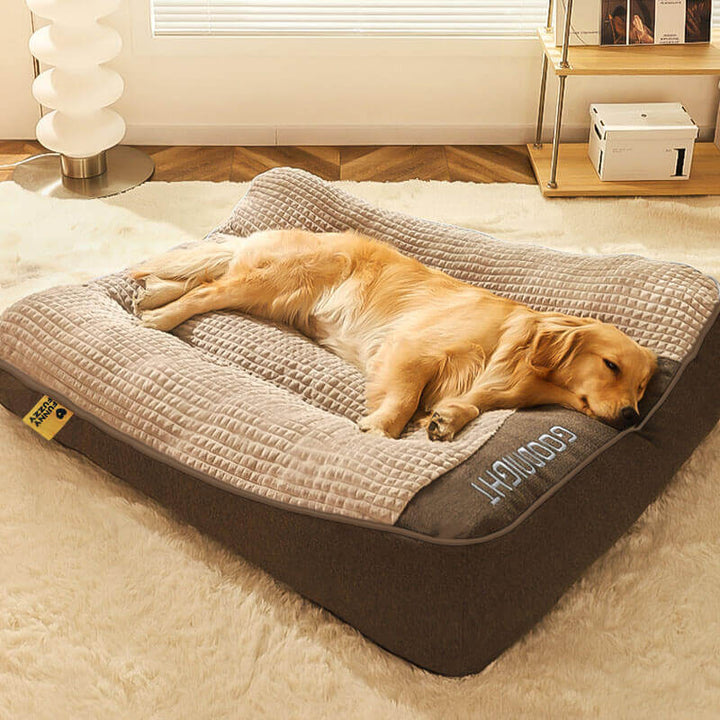 Skanto | Dickes kratzfestes Hundebett mit Rückenstütze