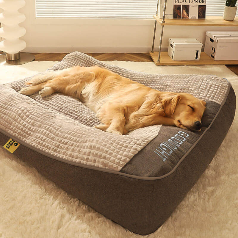 Skanto | Dickes kratzfestes Hundebett mit Rückenstütze