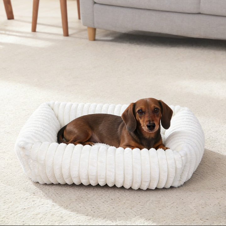 Luxuriöses Hundebett mit Kissen