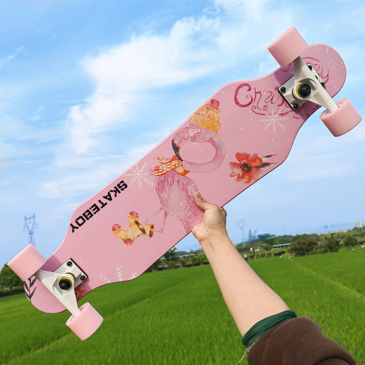 Longboard Skateboard Skanto