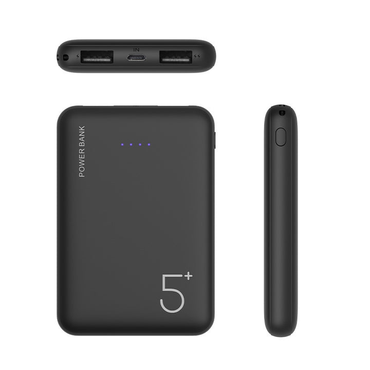 Hochleistungs-Powerbank mit Dual-USB-Anschluss und intelligenter Ladeerkennung Skanto