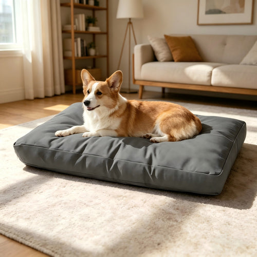 Hundebett aus Memory-Schaum