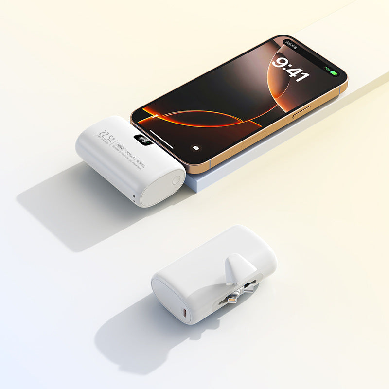 Tragbare Powerbank mit integriertem Ladegerät Skanto