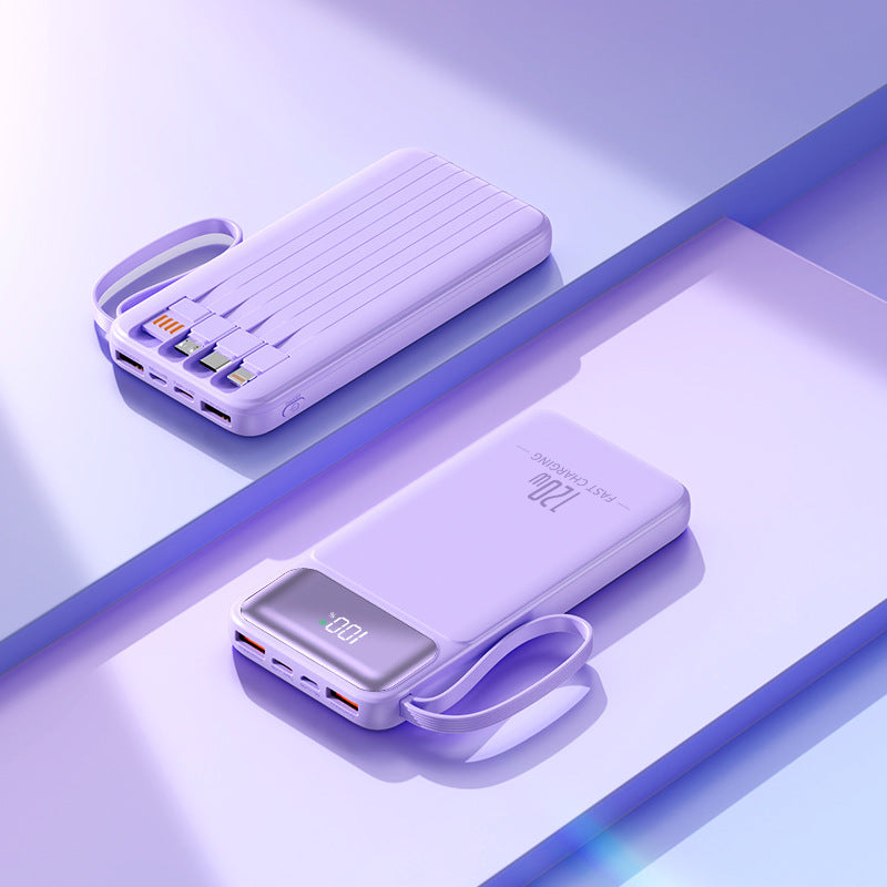 Leistungsstarke Powerbank Skanto