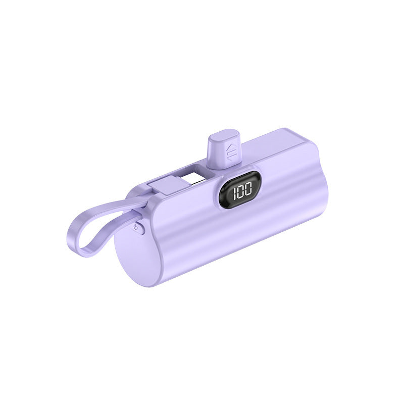 Powerbank für Skanto