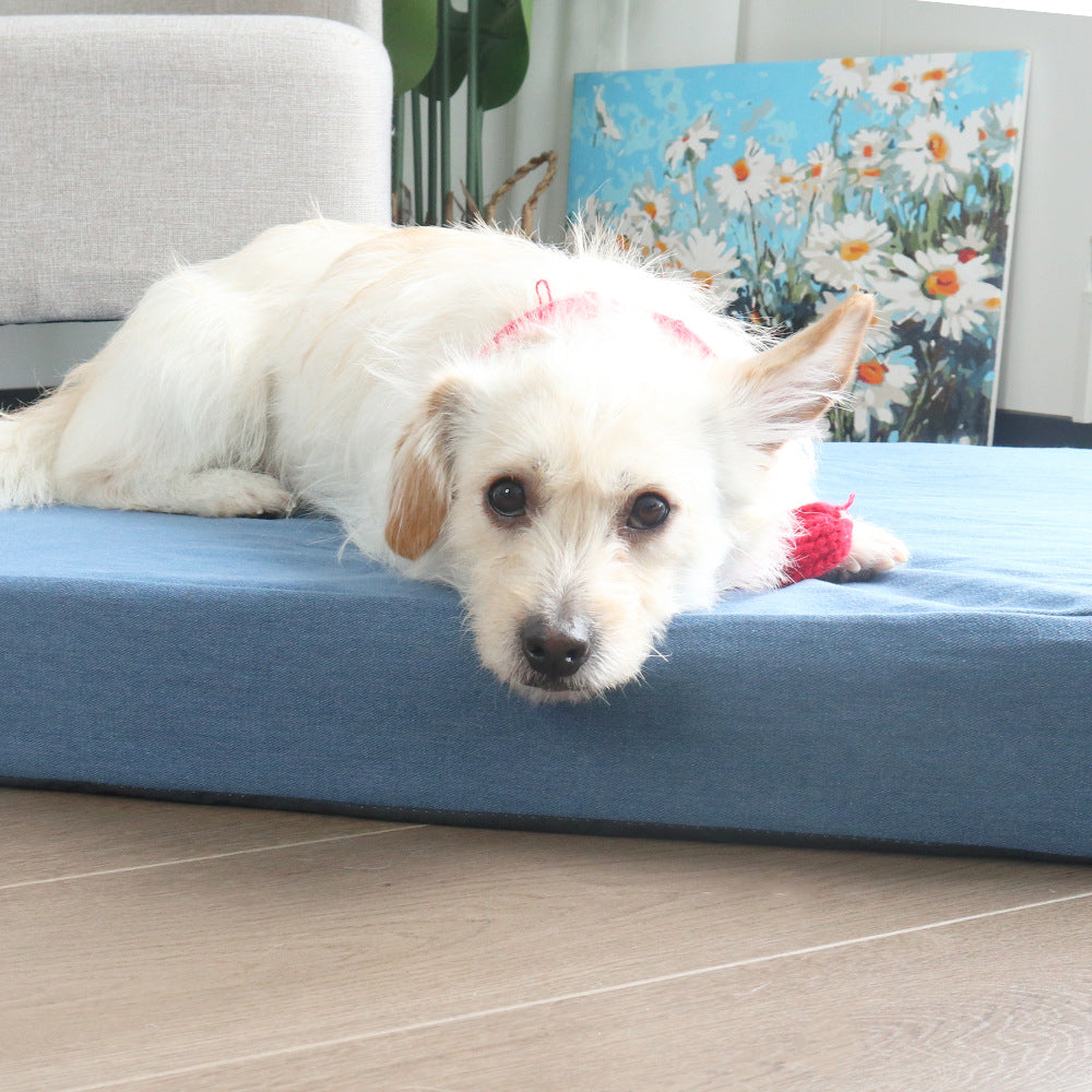 Komfortable, stützende Hundematte