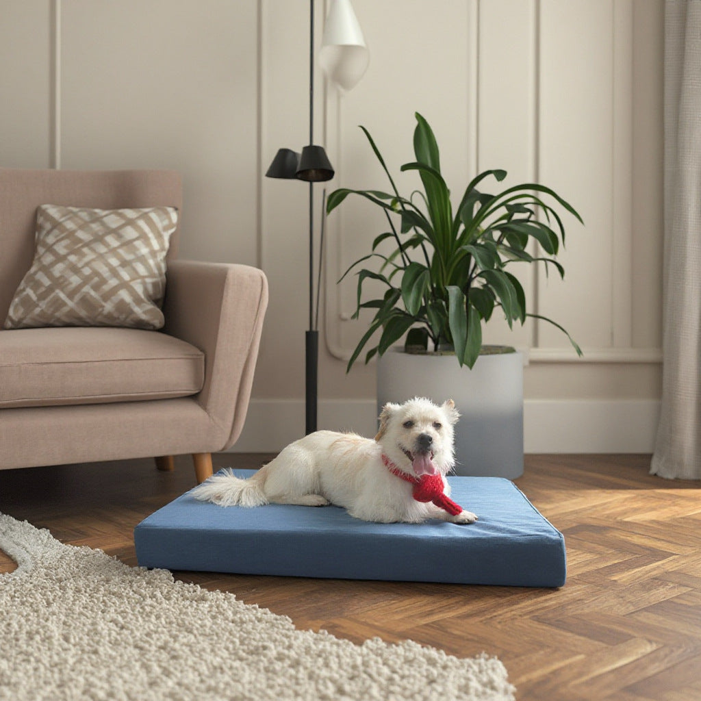 Orthopädisches Hundebett aus Schaumstoff