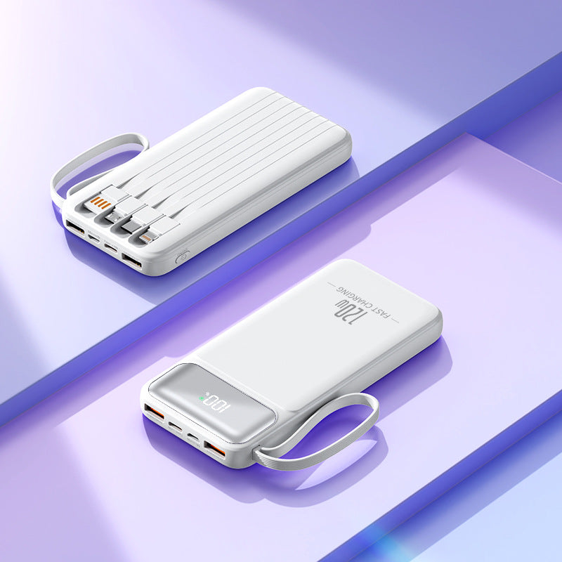 Leistungsstarke Powerbank Skanto