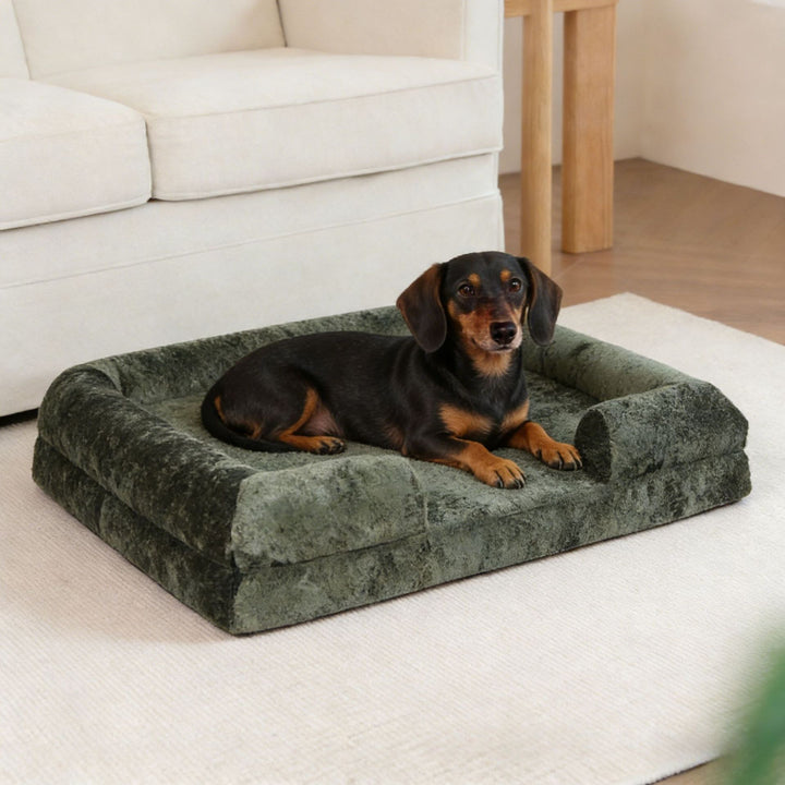 Gepolstertes weiches Hundesofa