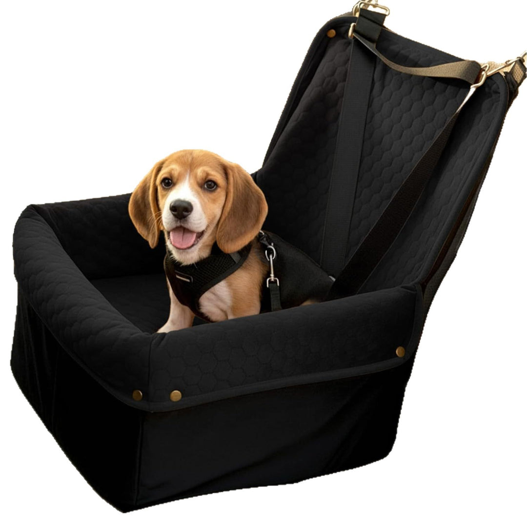 Hundeautositz Skanto