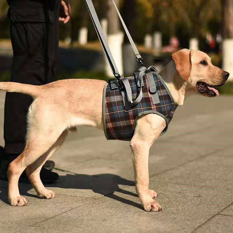 Skanto | Hunde-Hebe-Geschirr mit Griff, Haustier-Genesungsschlinge
