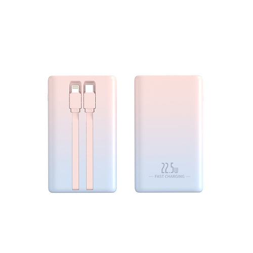 Leistungsstarke Powerbank Skanto