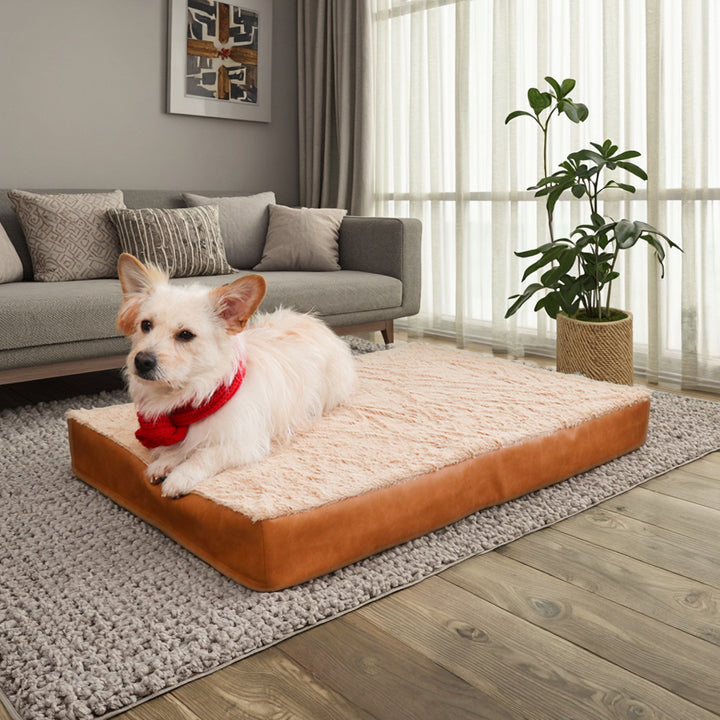 Luxuriöses, stützendes Hundebett